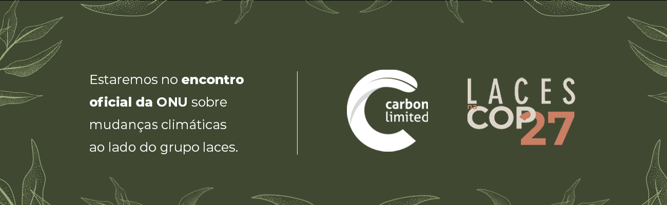 Carbon Limited e Laces and Hair