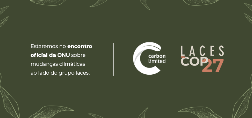 Carbon Limited e Laces and Hair